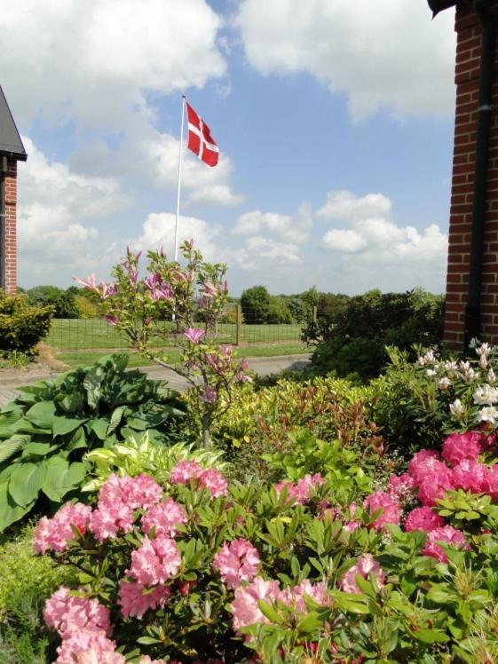 Lyngvej 16 B&B Skanderborg Exterior photo